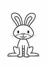 Kaninchen Malvorlage Ausdrucken sketch template