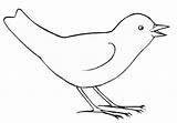 Oiseau Oiseaux Dessiner Aves Coloriages Tuto Gratuit Automne Unblog Doiseau Choisir sketch template