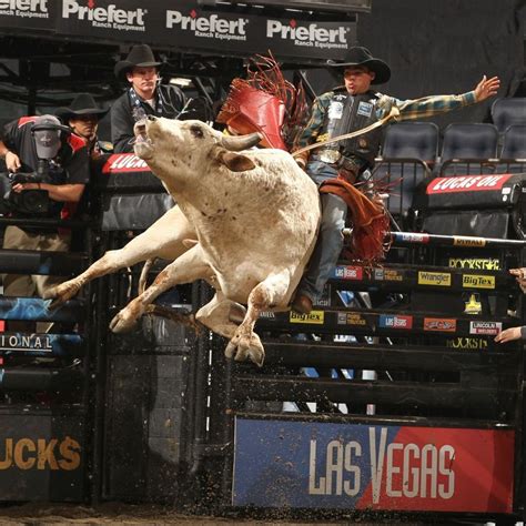 Best Bets Bull Riders Tough It Out At Allstate
