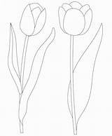 Tulips sketch template