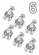 Shrimp Coloring Animal Getcolorings Pages Getdrawings sketch template