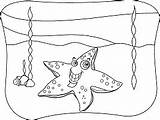 Estrella Starfish Estrellas Primeraescuela Seastar sketch template