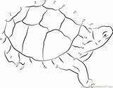 Turtle Eastern Box Dots Connect Dot sketch template