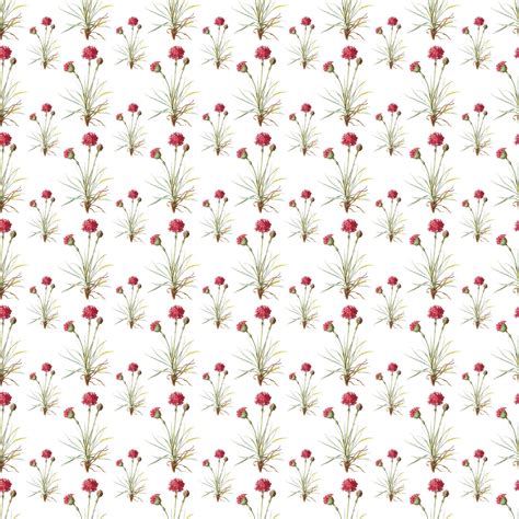 graphics monarch digital flower background paper wildflower stock