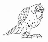 Falco Tiberius Mascotas Secreta Coda Rossa Coloradisegni Infuocata Unico Pokemon Kolorowanki Raskrasil sketch template