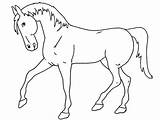 Sketsa Hewan Berkaki Empat Mewarnai Kuda Colorir Kartun Shets Cavalo Kumpulan sketch template