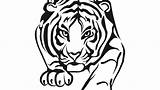 Tiger Paw Coloring Print Clemson Drawing Prints Template Paintingvalley Pages sketch template