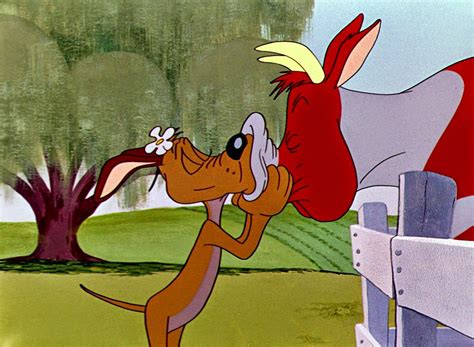 looney tunes pictures dog  south looney tunes   folks