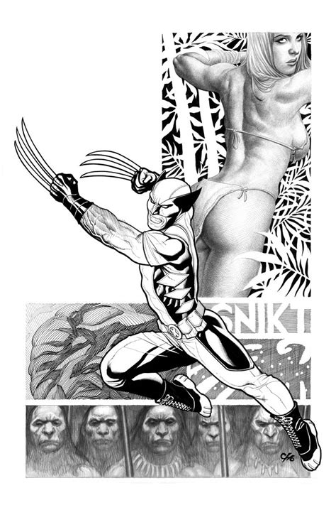 Wolverine Frank Cho Frank Cho Marvel Art Comic Art