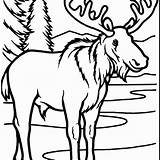 Moose Outline Antlers sketch template