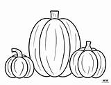 Pumpkin Coloring Printabulls D sketch template