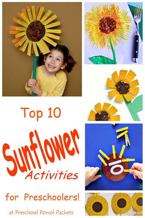 top  sunflower activities  preschool preschool powol packets