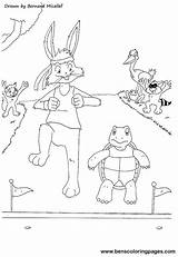 Tortoise Hare Borders sketch template