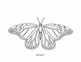 Butterfly Coloring Monarch Pages Drawing Teacherspayteachers Line Realistic Draw Outline Rating sketch template