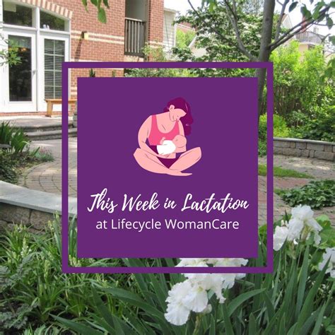 💜this week in lactation at lifecycle lifecycle womancare facebook