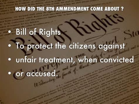 The Eighth Amendment By Megan Carmody
