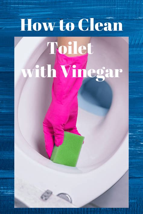 clean toilet  vinegar    topics