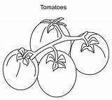 Coloring Tomatoes Pages Vegetables Fruits Print Coloringtop sketch template