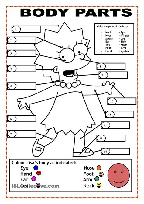 body parts coloring page  kids coloring home