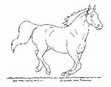 Horse Coloring Pages Galloping Gallop Sheets Small Color Sheet Butterfly Print Getcolorings Getdrawings Book sketch template