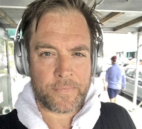 michael weatherly returns  twitter exciting ncis fans