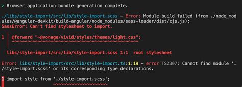 css imported  node modules  libraries  parsed correctly