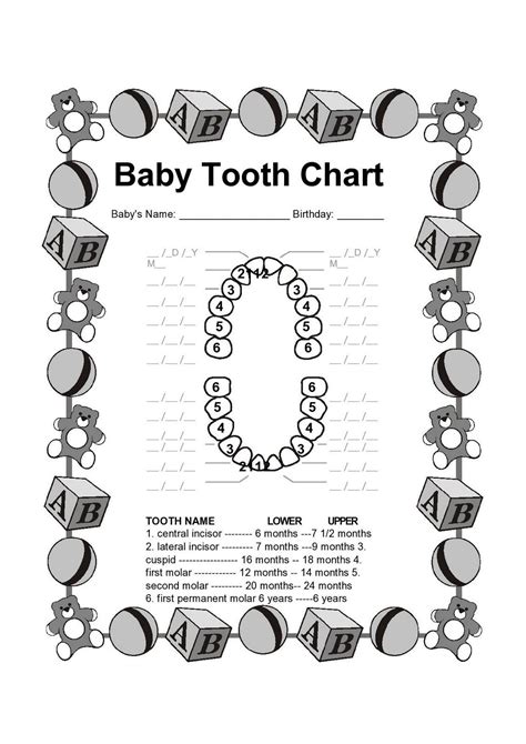 baby tooth chart baby tooth chart tooth chart baby teeth