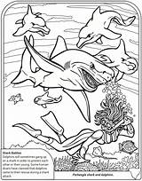 Coloring Pages Sharks Biomes Shark Biome Popular Ocean Choose Board Coloringhome sketch template