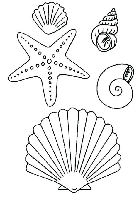 starfish coloring page  getcoloringscom  printable colorings