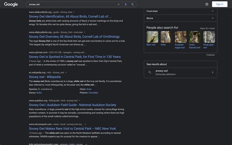 google search testing full desktop dark mode gallery togoogle