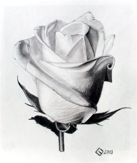 Es La Flor Más Romántica 😘 Dibujos De Rosas Dibujos A Lapiz Rosas
