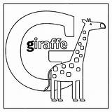 Giraffe Alphabet Buchstabe Englisches Tieren sketch template