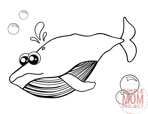 printable blue whale coloring page   whale coloring pages