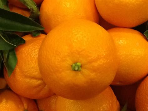 comprar naranjas archives naranjas luna