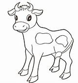 Coloring Cow Baby Pages Animals Calf Printable Clipart Longhorn Animal Print Farm Drawing Cute Cows Adults Supercoloring Color Colouring Kids sketch template