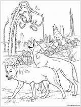 Coyote Howling Coloring Drawing Pages Getdrawings sketch template