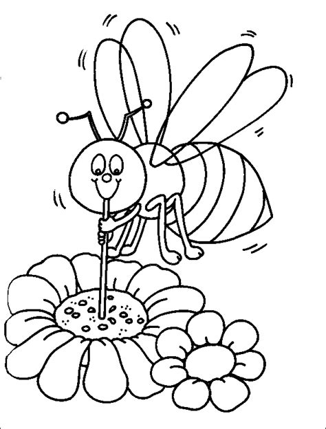 honey bee pictures  kids coloring home