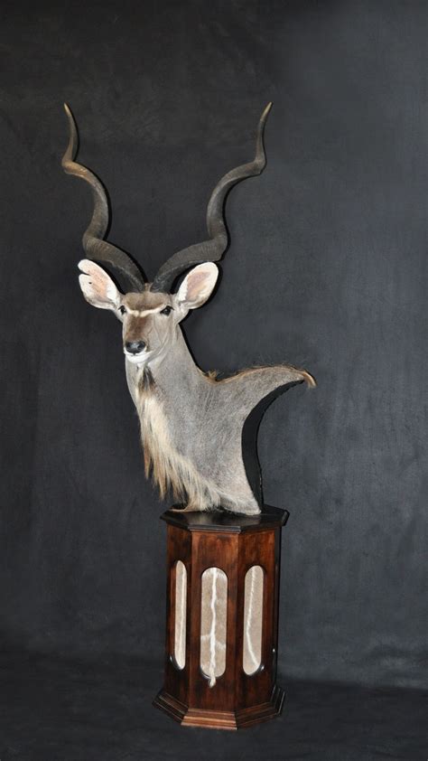 kudu pedestal mount animal taxidermy african paintings kudu