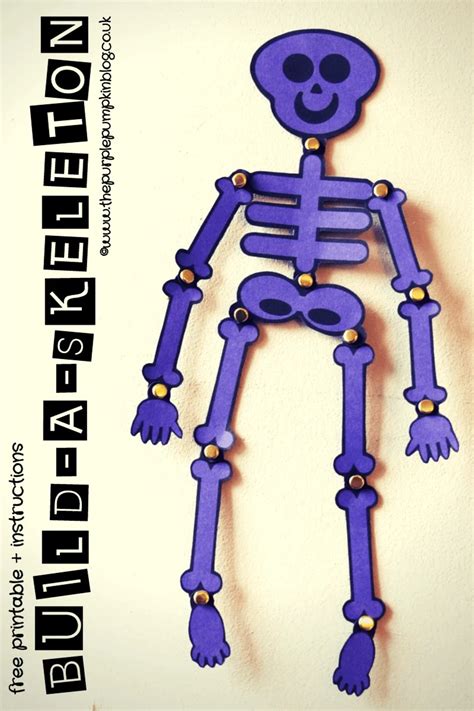 build  skeleton  printable instructions