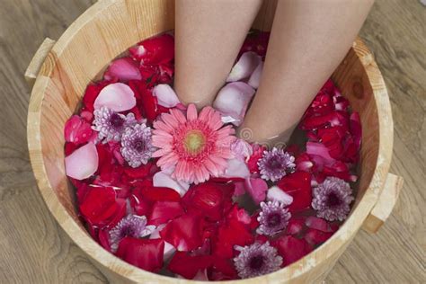 foot bath  flowers  spa salon stock image image  relaxation