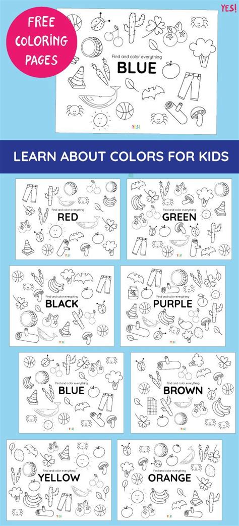 coloring pages  colors  preschoolers  toddlers