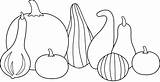 Gourds Thanksgiving Clipart Clip Line Coloring Gourd Pumpkin Pages Template Pumpkins Lineart Harvest Templates Colorable Sweetclipart Clipground sketch template