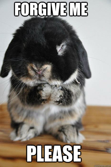 forgive me please bunny quickmeme
