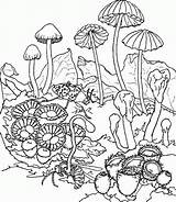 Things Color Cool Coloring Pages Popular sketch template