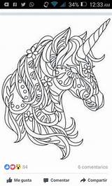 Eenhoorn Omnilabo Zendoodle Galery Quilling Paard Schilder Volwassen Kleurboek Kleur Ontwerp Zelf Wilt Zoals sketch template