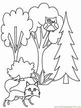 Coloring Pages Trees Tree Printable Book Forest Pine Fall Kids Print Natural Tree8 Coloringpagebook Popular Coloringhome Da Advertisement Related sketch template