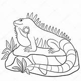Iguana Coloring Pages Sits Cute Stock Vector Illustration Rock Animal Print sketch template