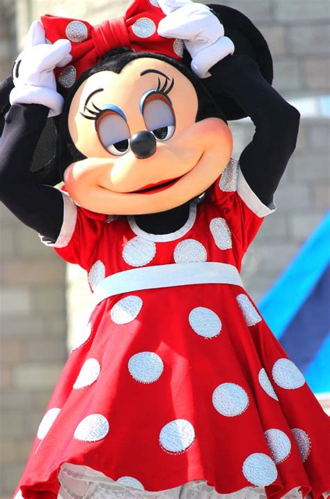172 best images about minnie