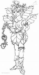 Coloring Coloriage Elf Pages Elfes Adults Adult Elves Angel Link Color Colorier Chibi Printable Sheets Colouring Lots Visit Stamps Fairy sketch template