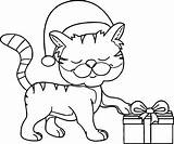 Coloring Cat Christmas Hat Happy Gift Pages Taking Wearing Printable Cats Choose Board Wecoloringpage sketch template